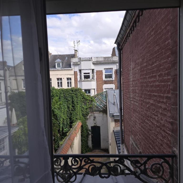 logement cosy et central - Appartement 1 Chambre - 4