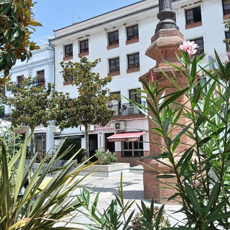 WOWHOLIDAYS Exclusive Building Center Ronda - Casa de 5 dormitorios - 11