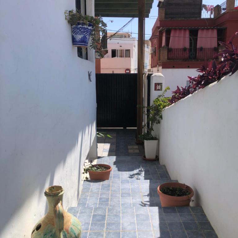Mediterranean house in Bajo Guía - Casa de 4 dormitorios - 28