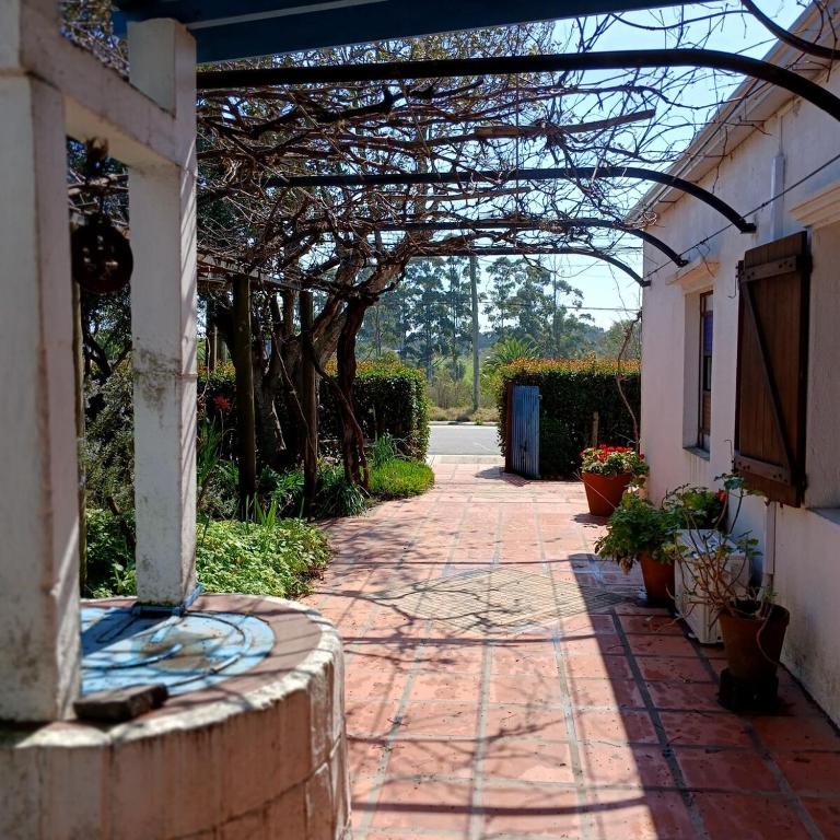 Casa Azul - One-Bedroom House - 7
