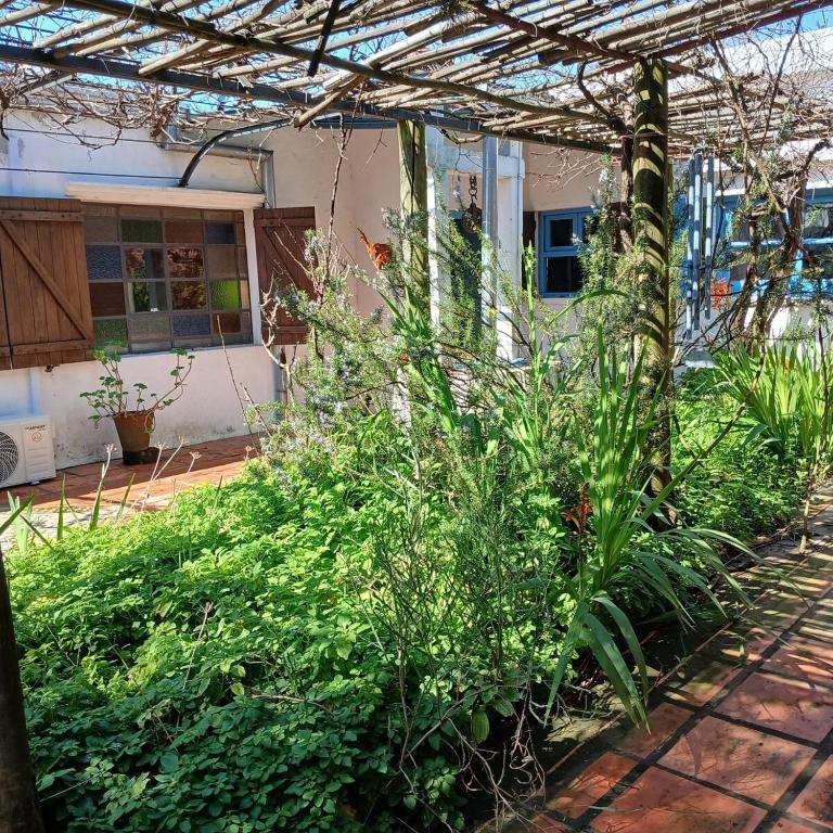 Casa Azul - One-Bedroom House - 11