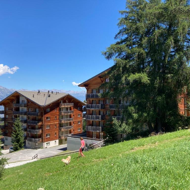 Wohnung COMBE NEND202 Ski in and Ski out - Apartment - 2