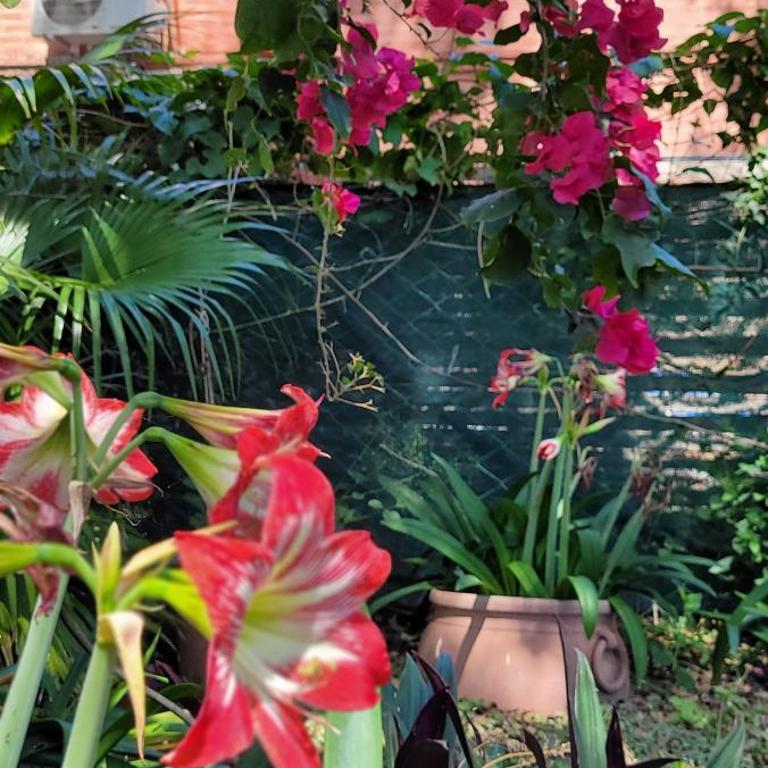 Che Kerecha- Casa quinta - Two-Bedroom House - 21