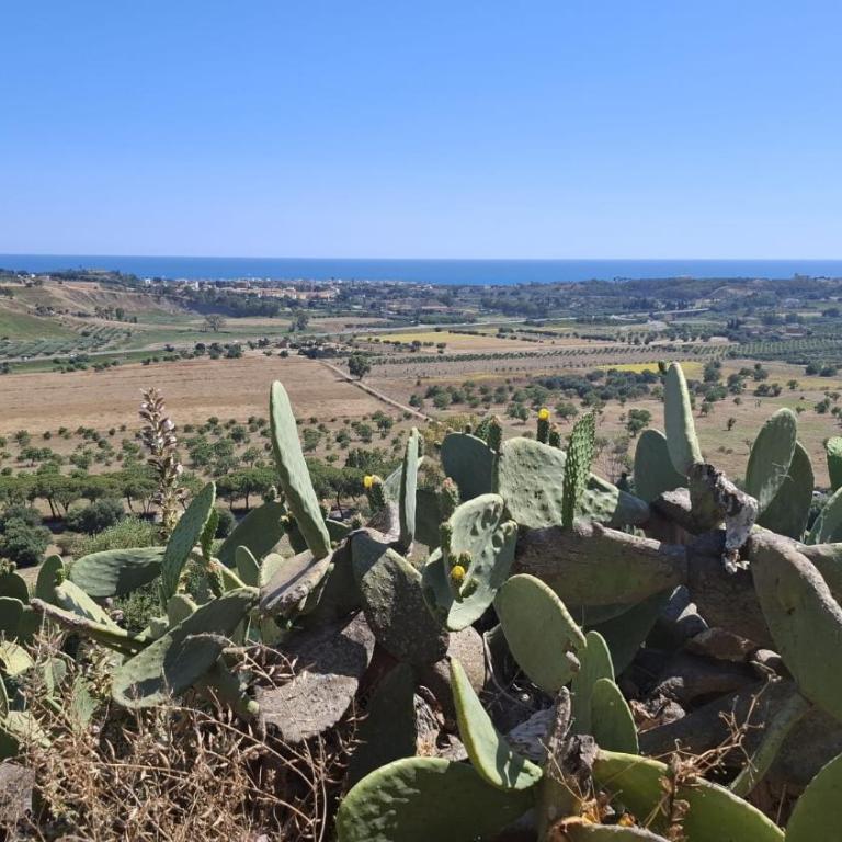 Villa Punta Piccola sul mare - Ferienhaus - 64