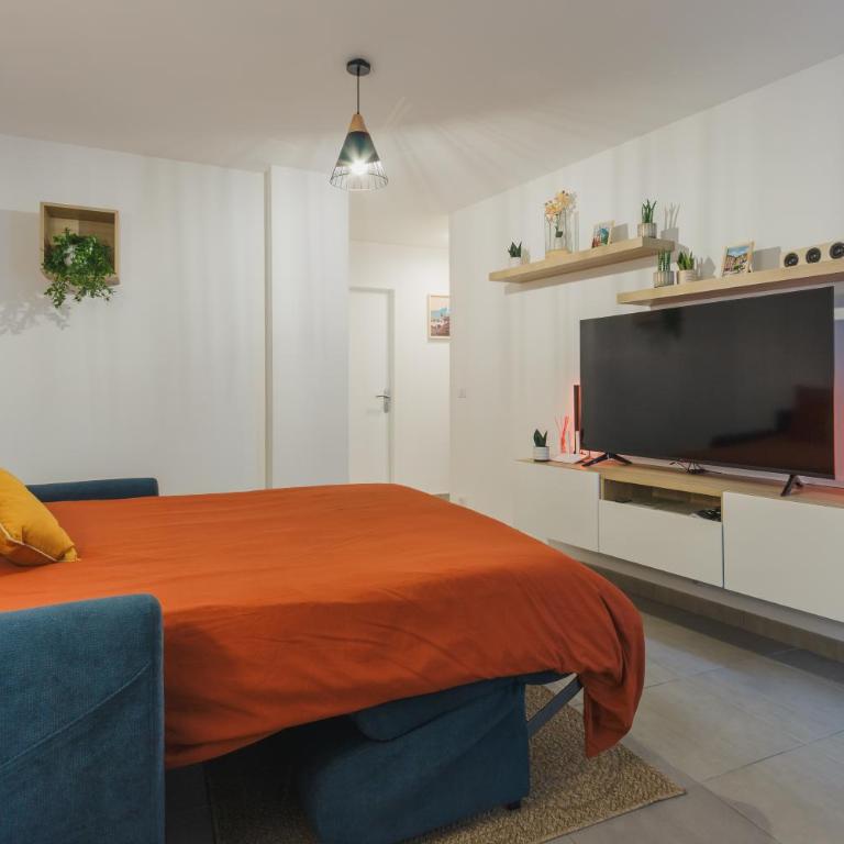 Appartement cosy hypercentre 400m de la télécabine 4-6 personnes - draps et ménage inclus - Appartement 2 Chambres - 18