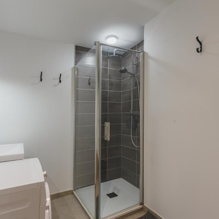Appartement cosy hypercentre 400m de la télécabine 4-6 personnes - draps et ménage inclus - Appartement 2 Chambres - 21