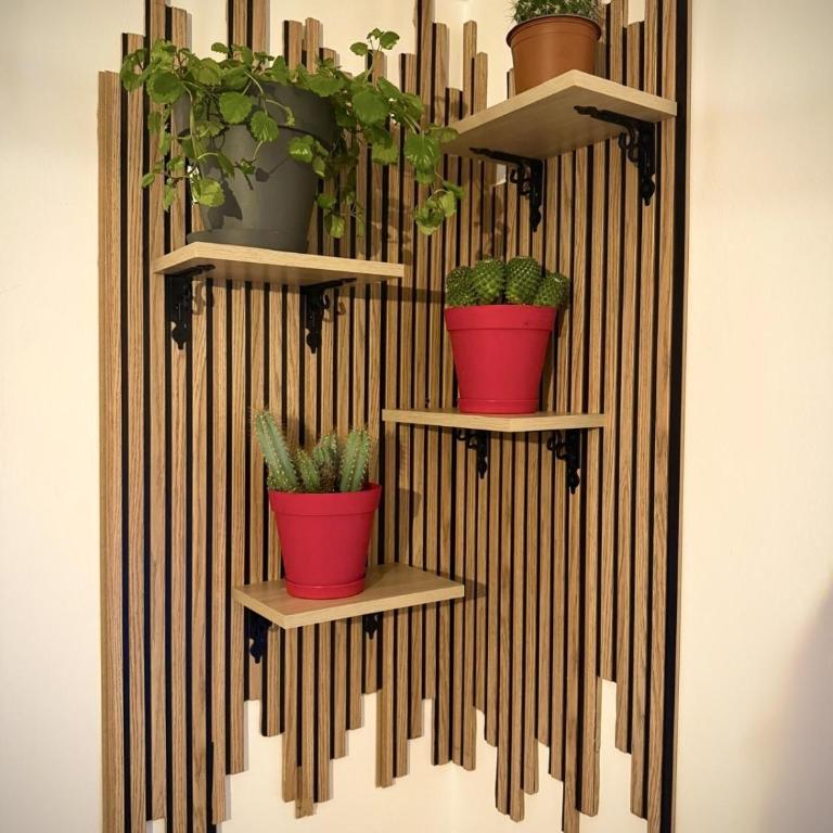Onix Home - Apartamento de 1 dormitorio - 12