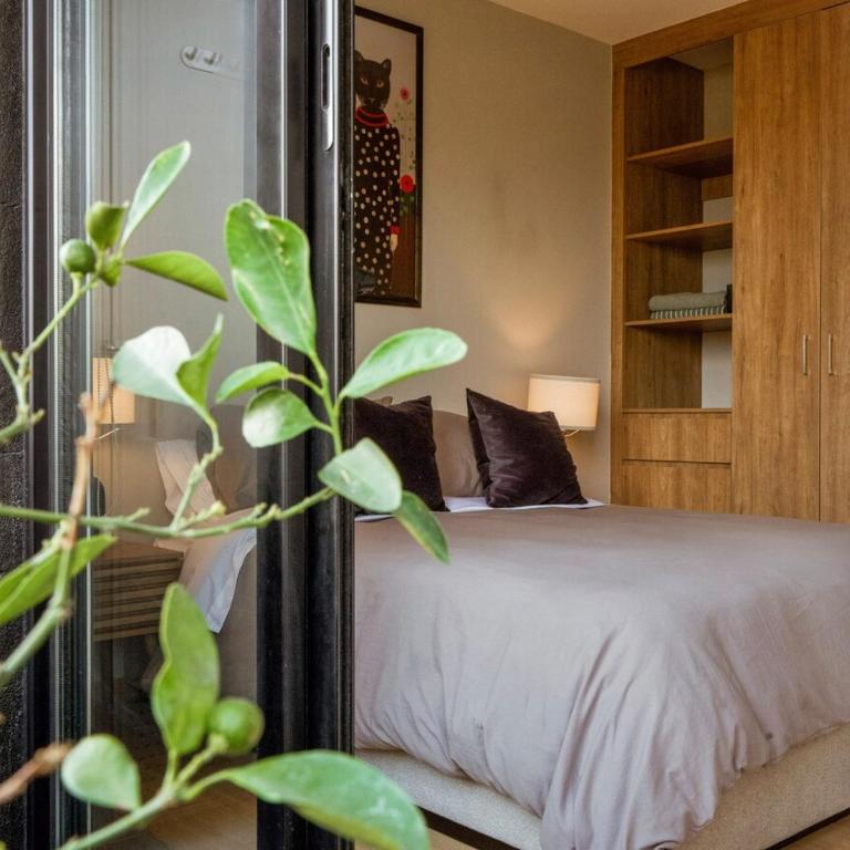 Encanto Roma con RoofPool, Coworking, Gym y PlayRoom - Apartamento de 2 dormitorios con balcón - 66