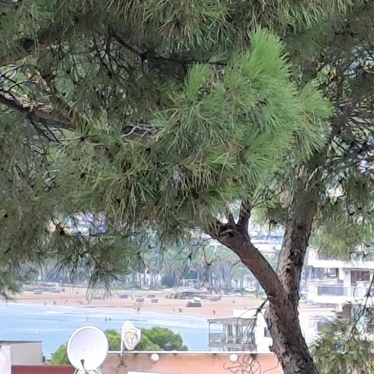 Torre Alta Salou - Apartamento de 3 dormitorios - 12