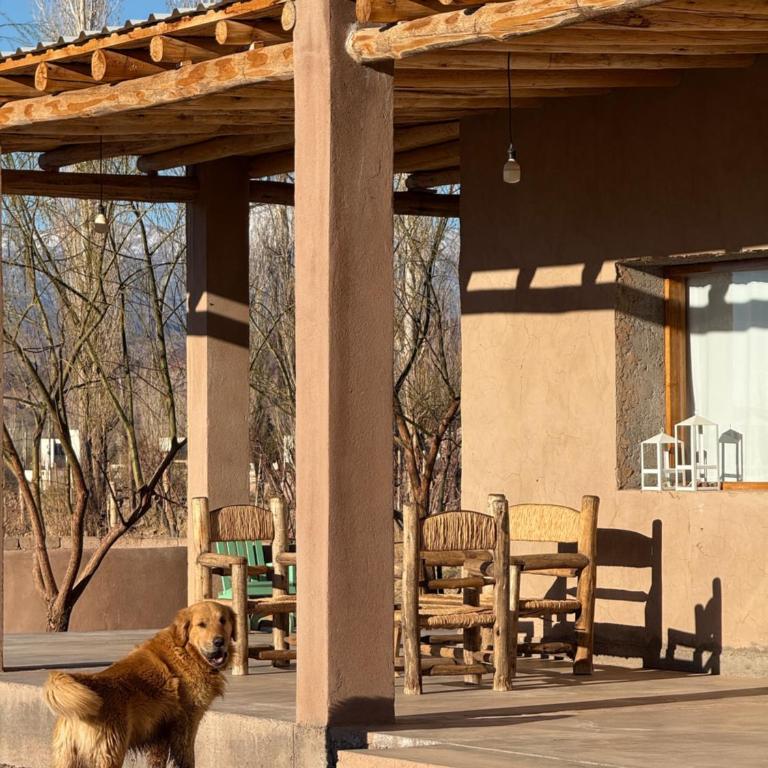Rancho Raíz - Casa con 1 dormitorio - 86