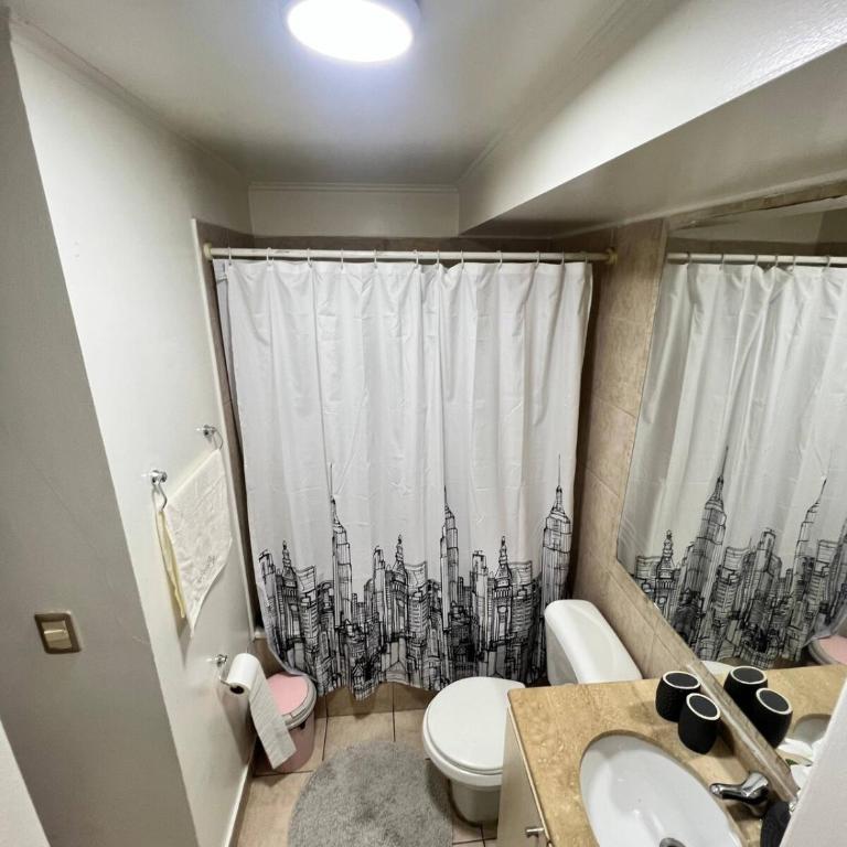Panoramic View Santiago Downtown WiFi - One-Bedroom Apartment - 4