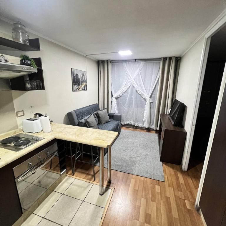 Panoramic View Santiago Downtown WiFi - One-Bedroom Apartment - 14