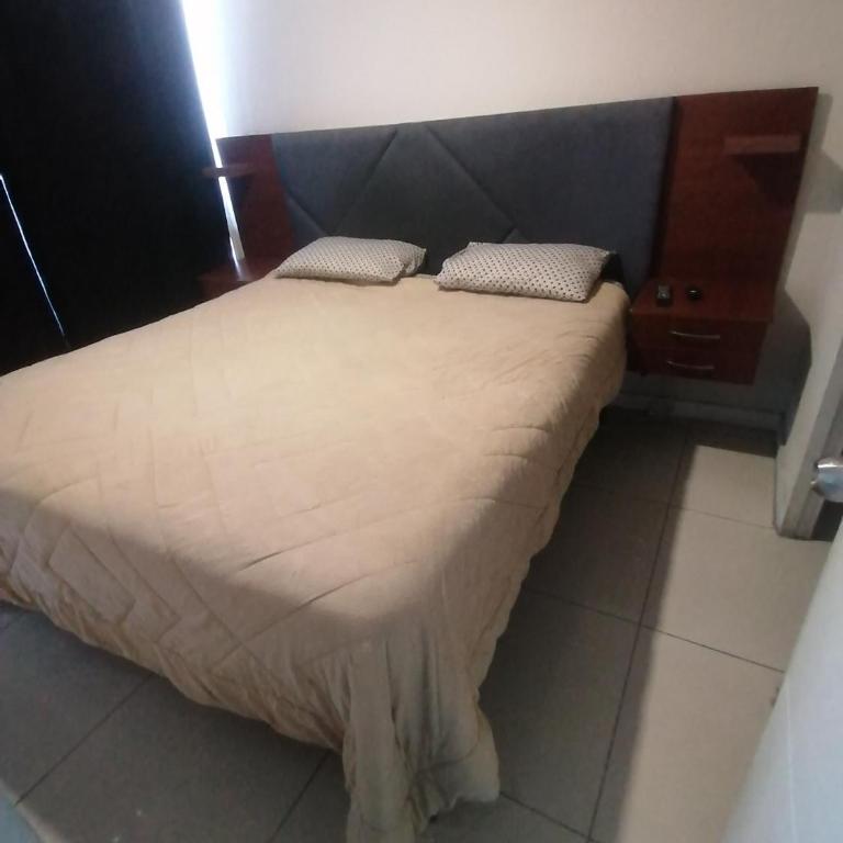 Departamentos Araya - Apartamento de 1 dormitorio - 1