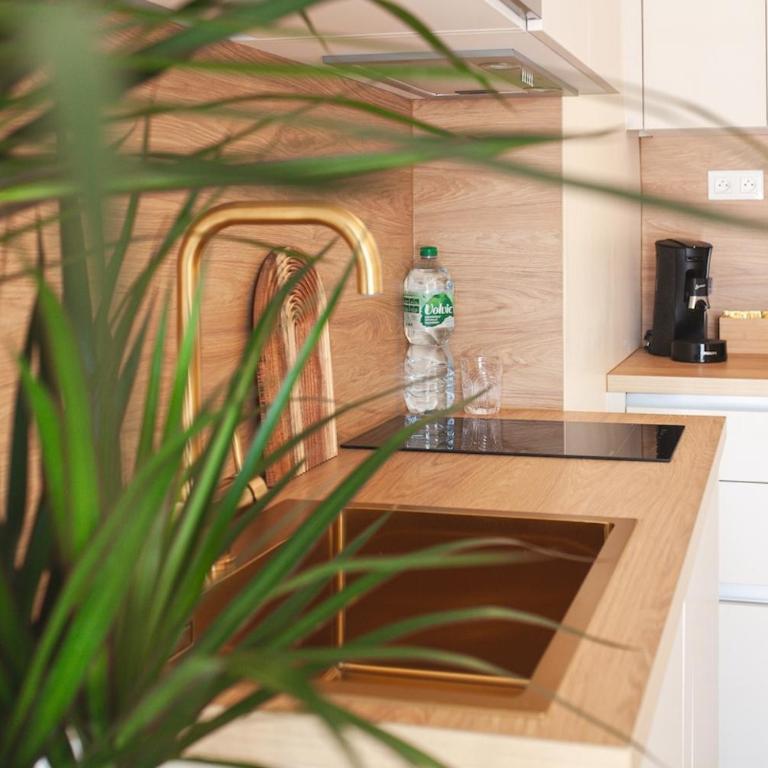Sofi Appart-Hôtel, balcon, parking privé - Apartamento de 1 dormitorio - 14