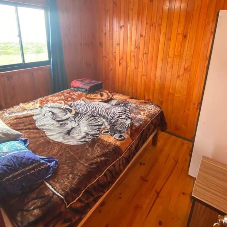 Hospedaje Remmi - Casa con 1 dormitorio - 4