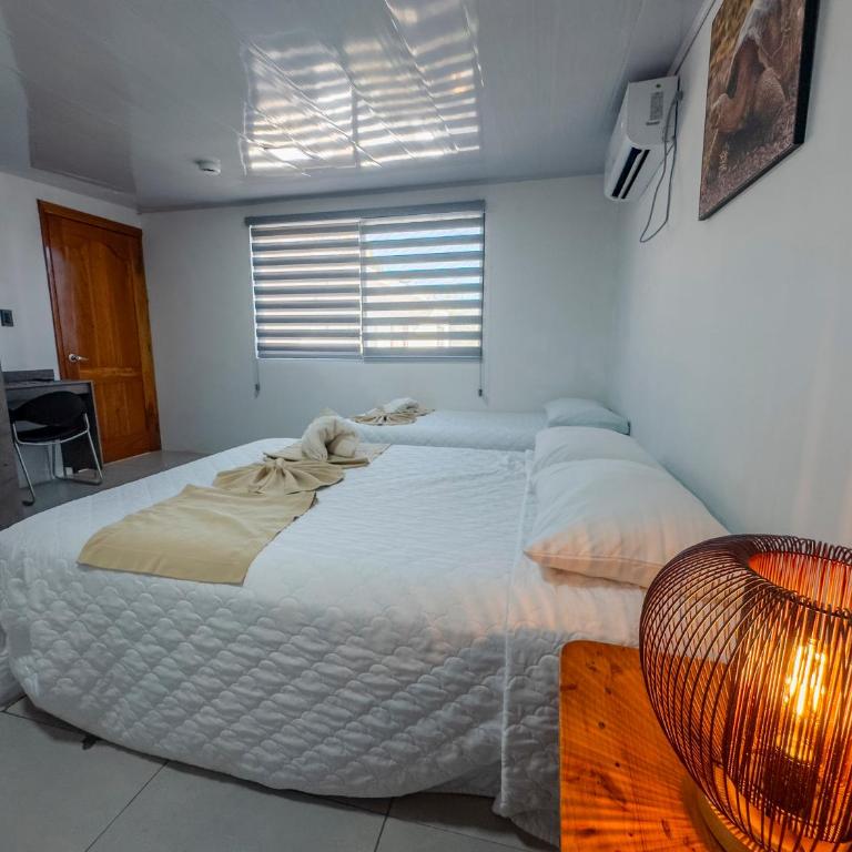 Galapagos Dreams - Habitación Individual - 7