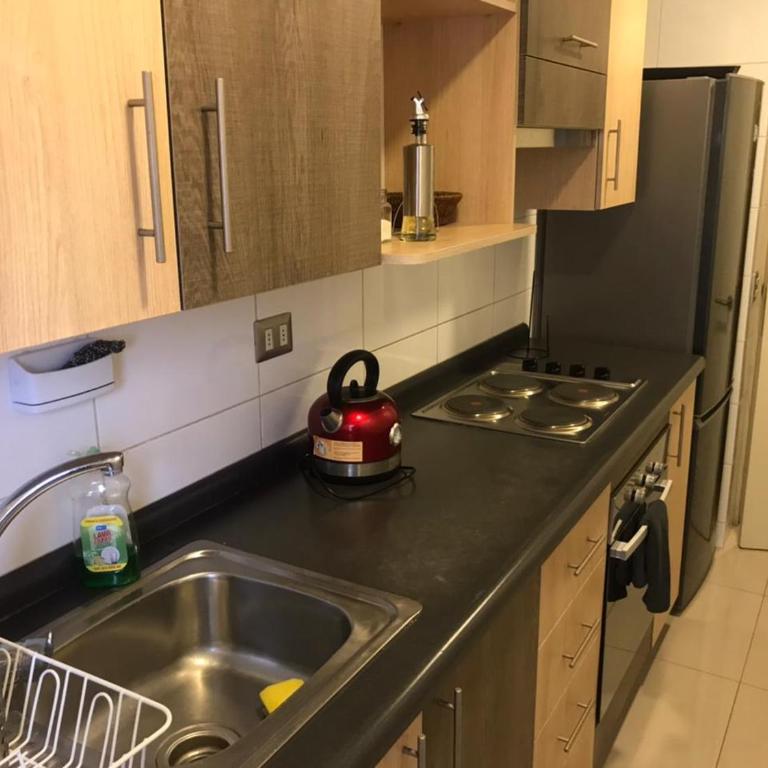 Lagos Temuco - Two-Bedroom Apartment - 2