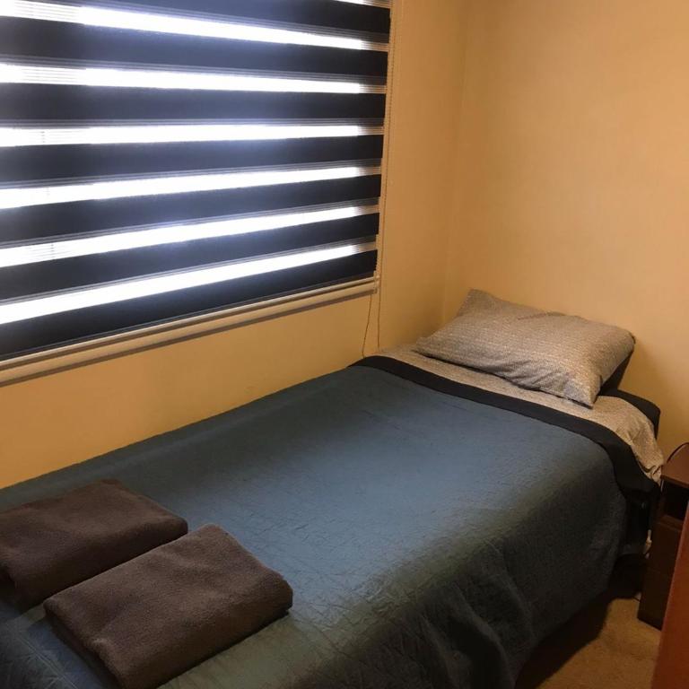 Lagos Temuco - Two-Bedroom Apartment - 3