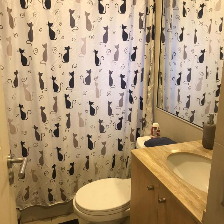 Lagos Temuco - Two-Bedroom Apartment - 8