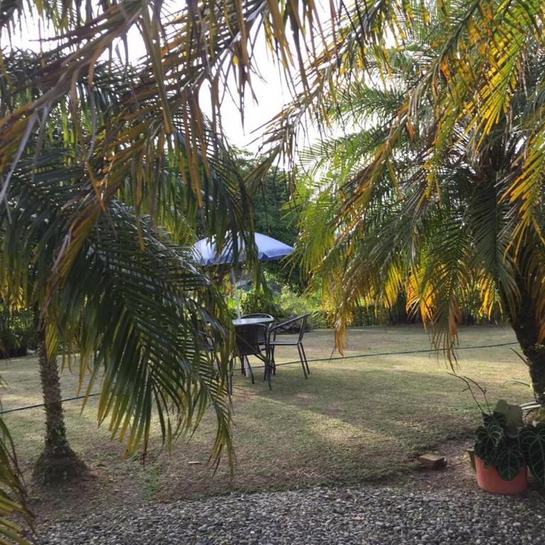 Hermosa Casa Campestre en Montenegro-Quindío - Casa de 4 dormitorios - 9