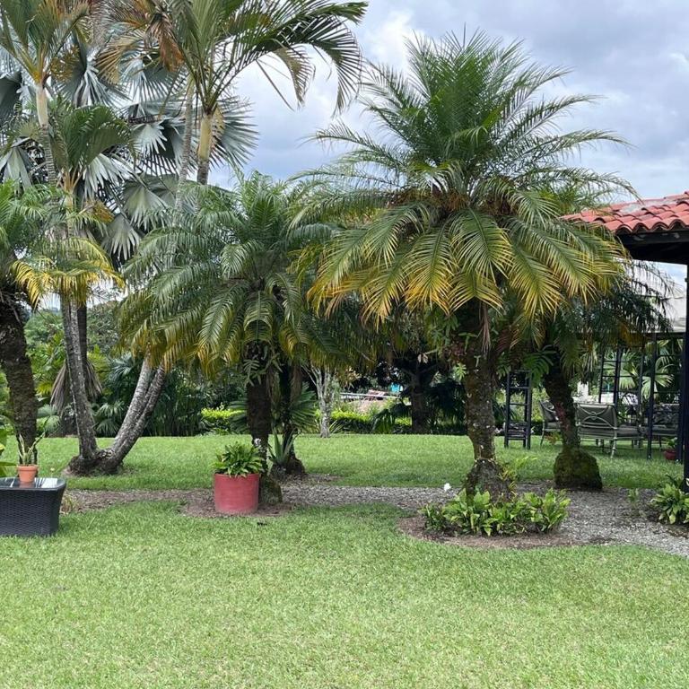 Hermosa Casa Campestre en Montenegro-Quindío - Casa de 4 dormitorios - 16