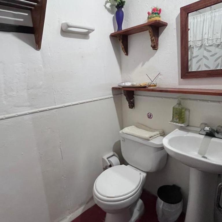 Hermosa Casa Campestre en Montenegro-Quindío - Casa de 4 dormitorios - 17