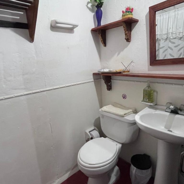 Hermosa Casa Campestre en Montenegro-Quindío - Casa de 4 dormitorios - 34