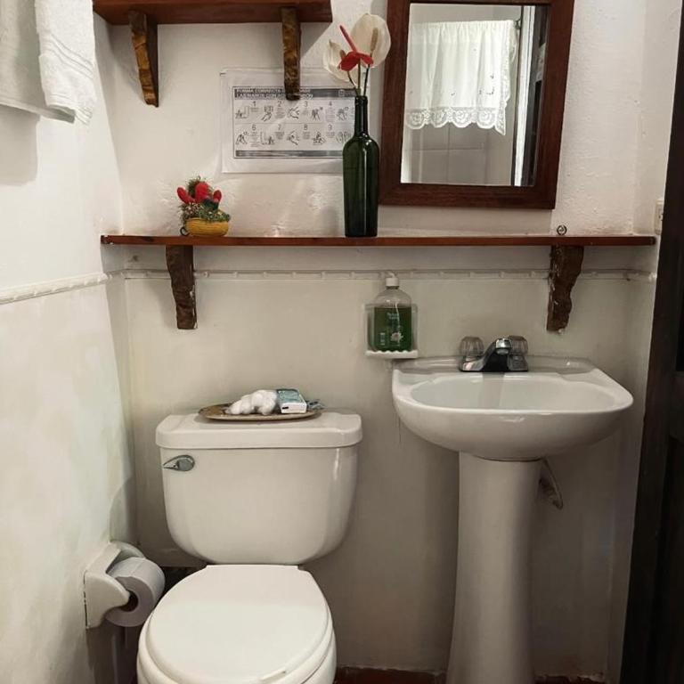 Hermosa Casa Campestre en Montenegro-Quindío - Casa de 4 dormitorios - 48