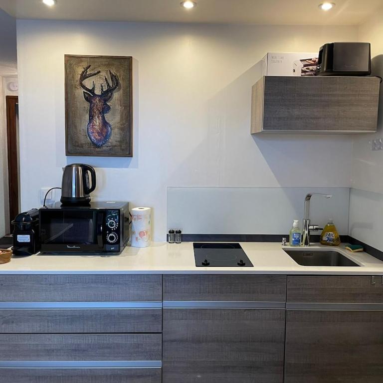 Downtown Chamonix Studio & Stunning Mountain View - One-Bedroom Apartment - 18