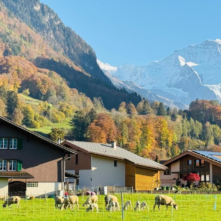 S&P Mountain View Apartment 2 - Apartment mit 2 Schlafzimmern - 28