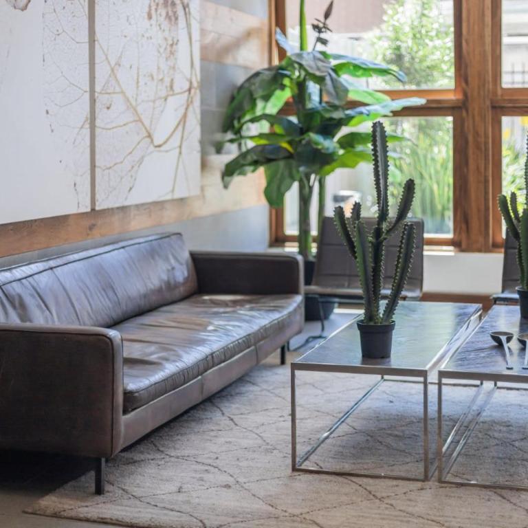 Live the Authentic Vibe of Barrio Italia - Apartamento - 44