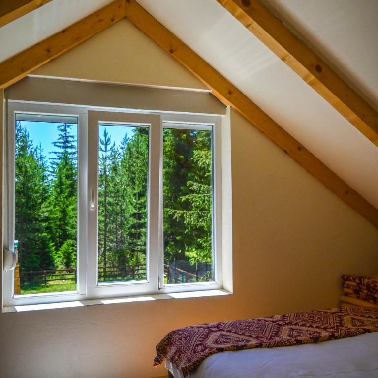 Mountain Majesty - Two-Bedroom House - 19