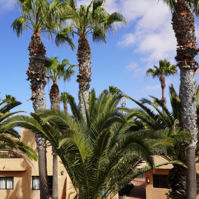 Corralejo Oasis Duna Casa 3P is Premium Adults-Only Apartment with Panoramic Pool View - Apartamento de 1 dormitorio - 23