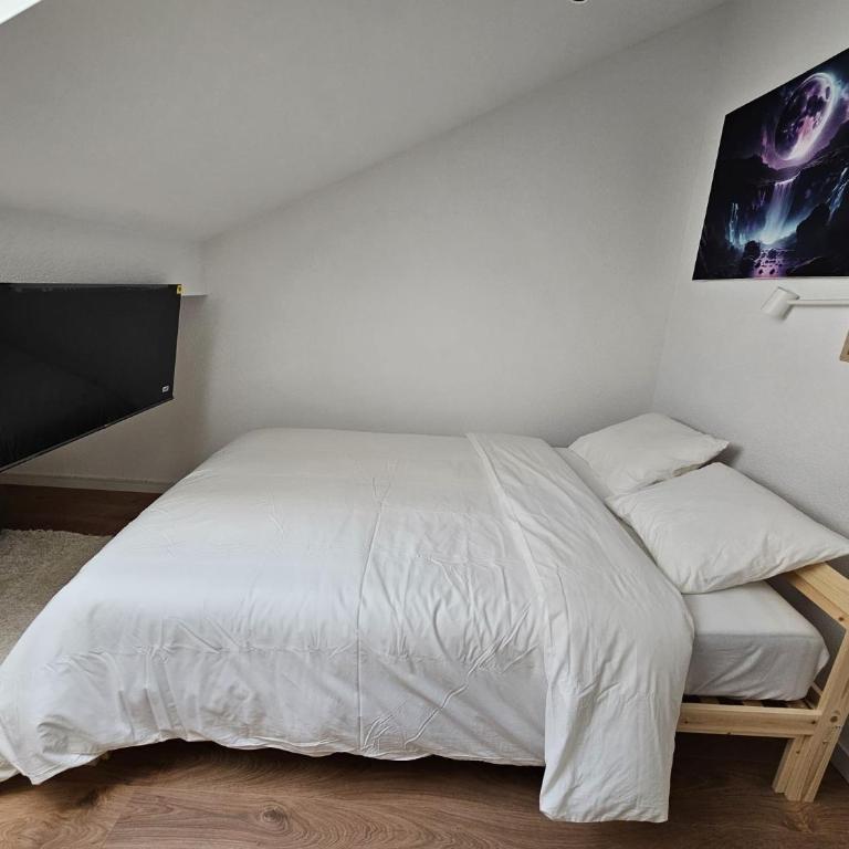 Private & Shared Stays in Lausanne - Camera Matrimoniale Standard con Bagno in Comune - 1