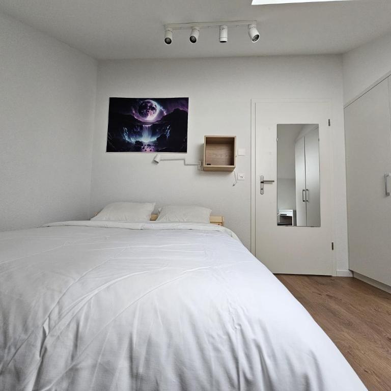 Private & Shared Stays in Lausanne - Camera Matrimoniale Standard con Bagno in Comune - 2