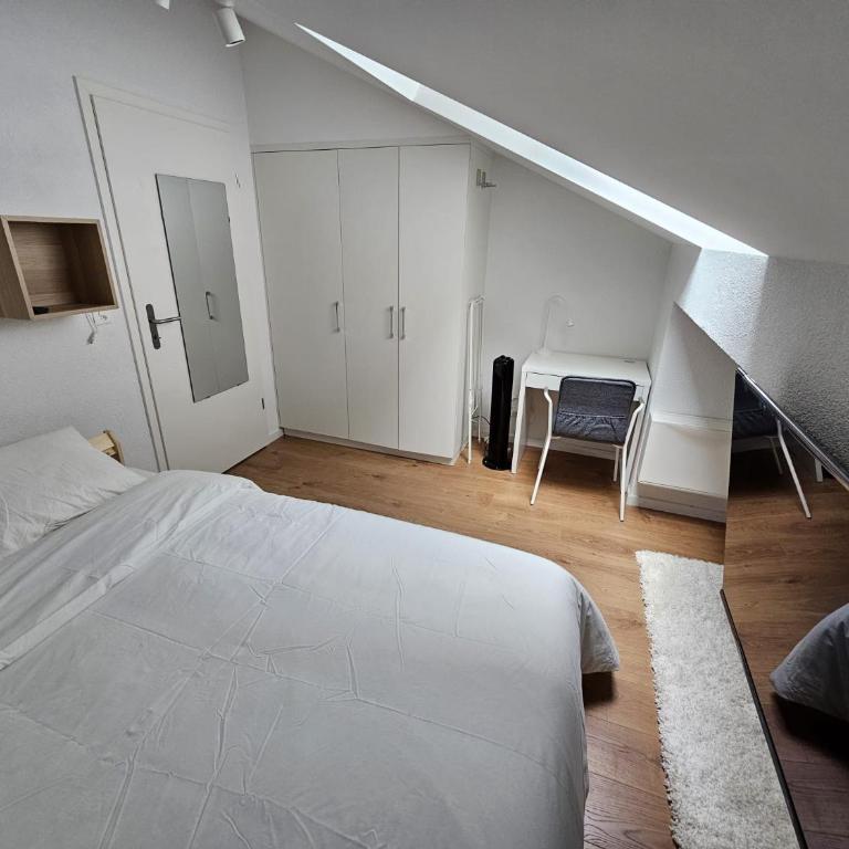 Private & Shared Stays in Lausanne - Camera Matrimoniale Standard con Bagno in Comune - 3