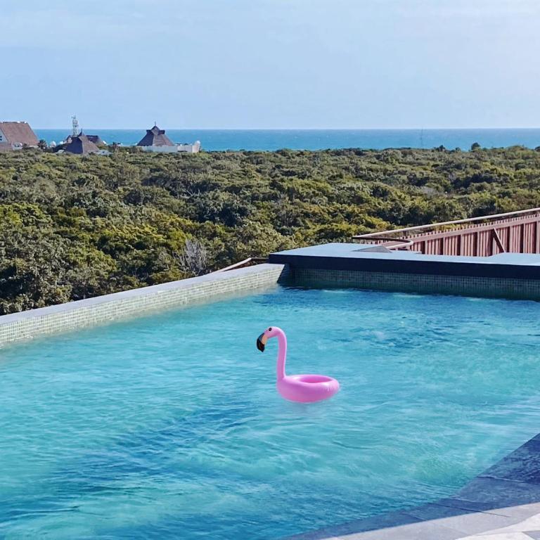 1-BD Apt with Ocean View Rooftop Pool - One-Bedroom Apartment with Terrace - 2
