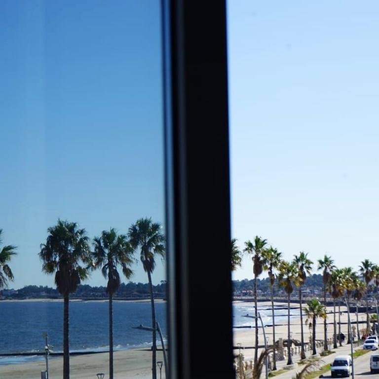 Moderno apartamento frente a la playa - Apartamento de 1 dormitorio - 16