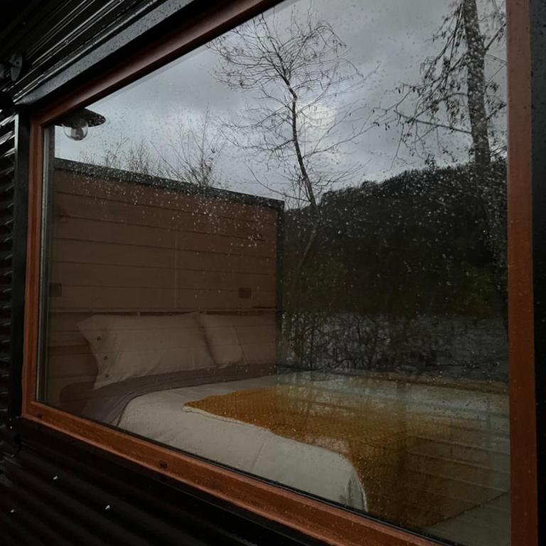 Tiny house río Calle Calle - One-Bedroom House - 26