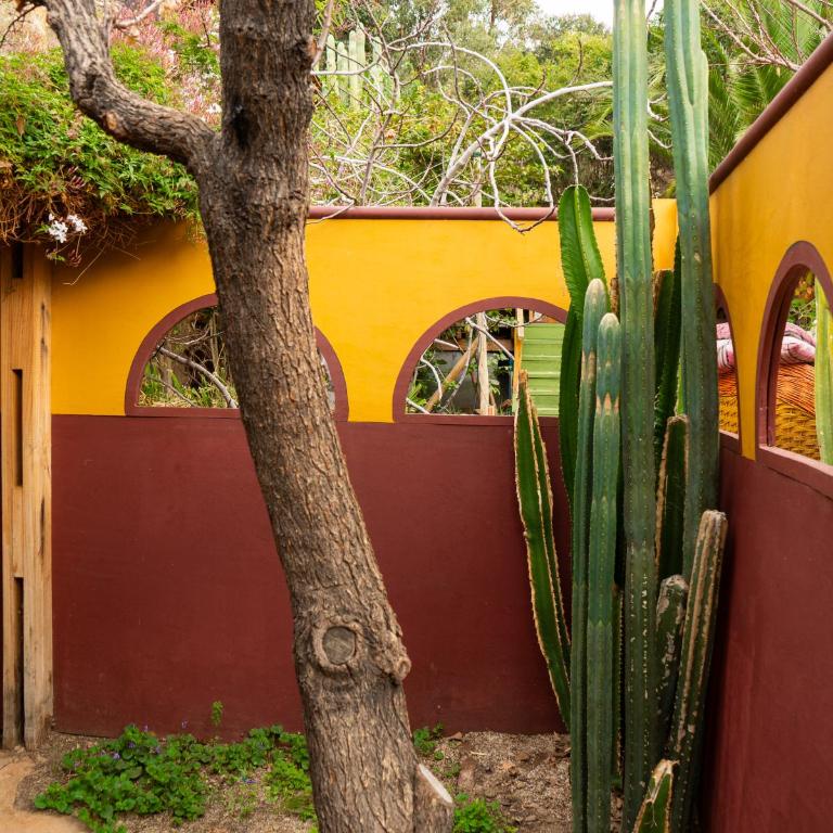 El jardín secreto Pisco Elqui - Apartment - 9