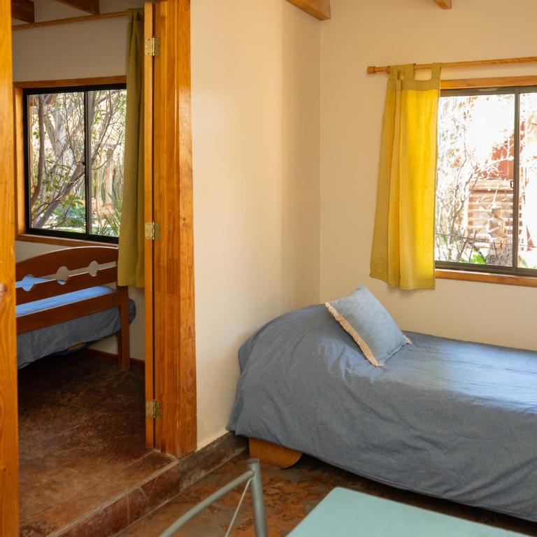 El jardín secreto Pisco Elqui - Apartment - 6