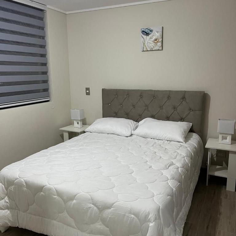 Departamento céntrico nuevo - Apartamento de 2 dormitorios - 2