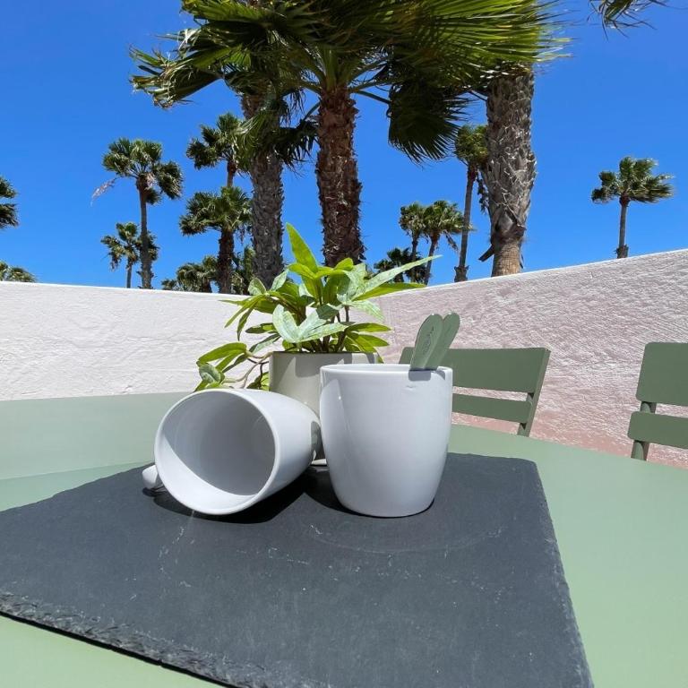 Oasis Dunas Canary House Deluxe by B-Rent - Apartamento de 1 dormitorio - 51