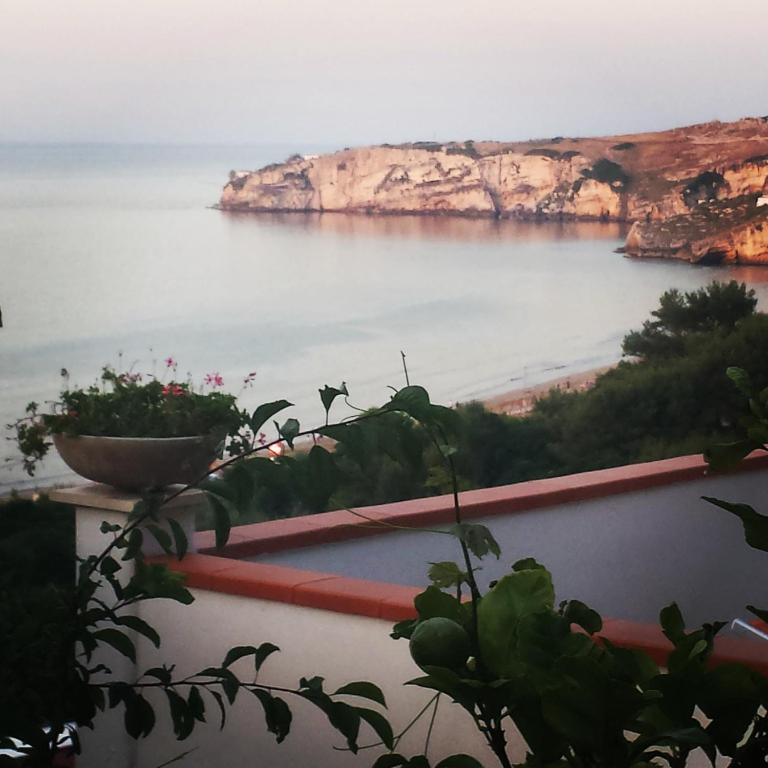 Case vacanze Baia del Gargano - Studio Apartment with Sea View - 14