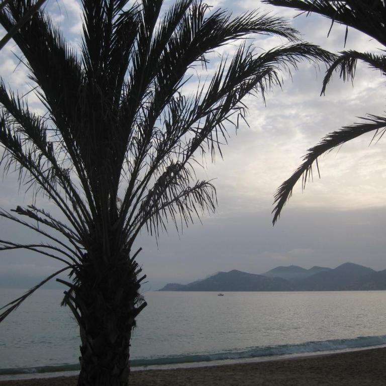 Cannes - view Cap Esterel - Appartement - 30
