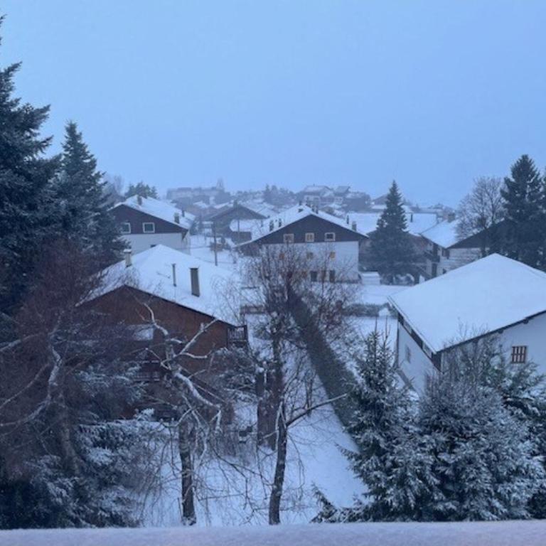 Les 4 monts face montagne - Appartement 3 Chambres - 1