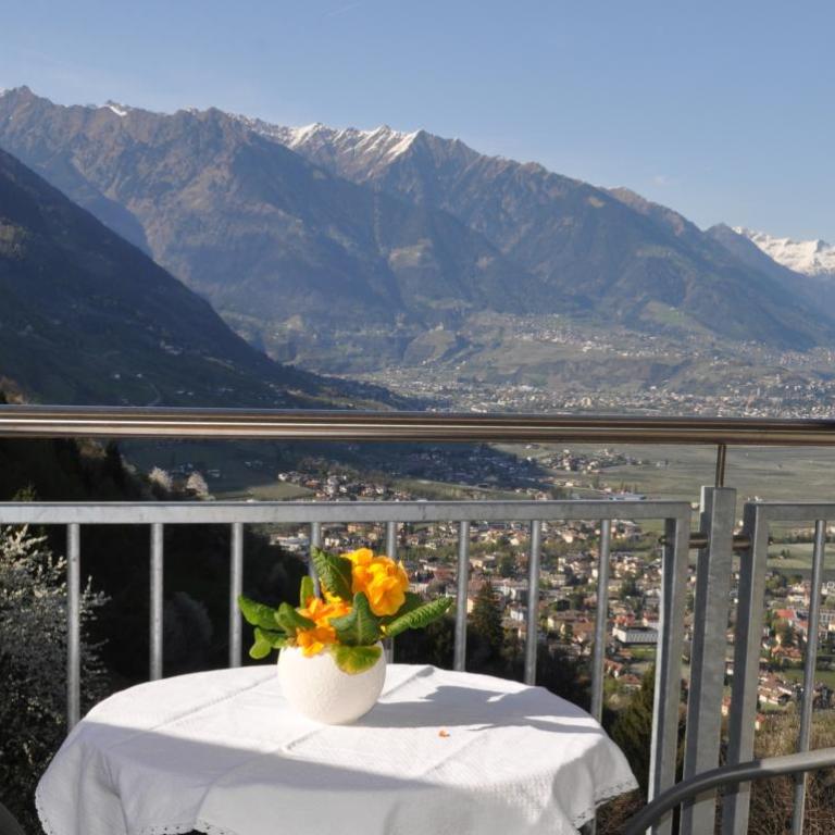 Ferienwohnungen Niederhof - Apartamento con vistas a las montañas - 2