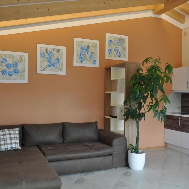 Ferienwohnungen Niederhof - Apartamento de 1 dormitorio con balcón y vistas a la montaña - 2