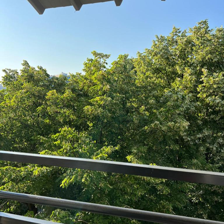 Theatre View Banja Luka - Apartman sa 1 Spavaćom Sobom i Balkonom - 26
