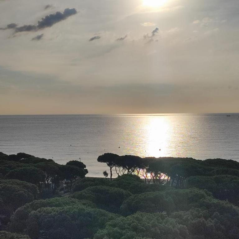 Alegre apto con piscina, a 300m de la playa. - Apartamento de 1 dormitorio - 36